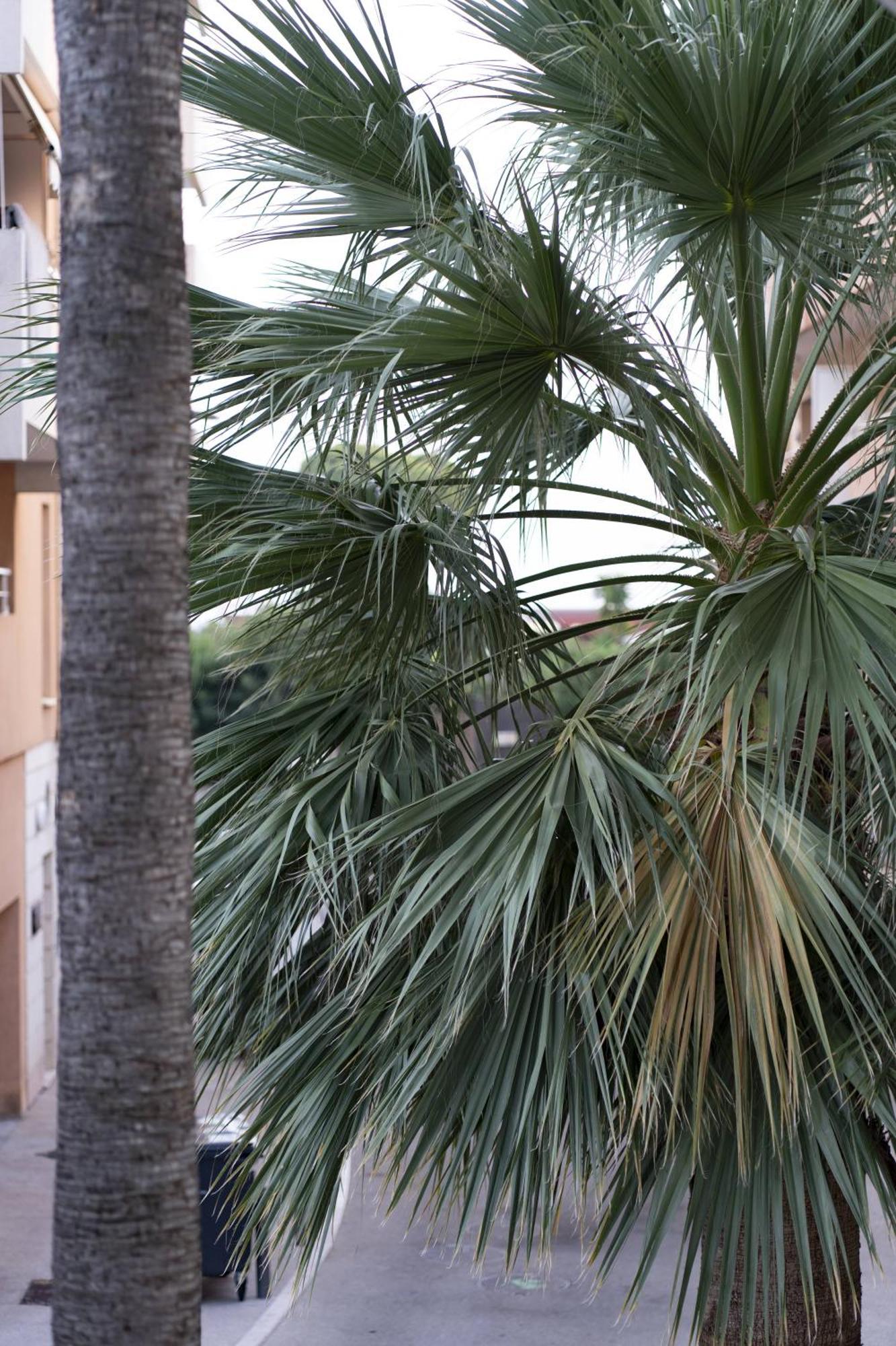 La Petit Maisonette De Manu Cannes Eksteriør bilde